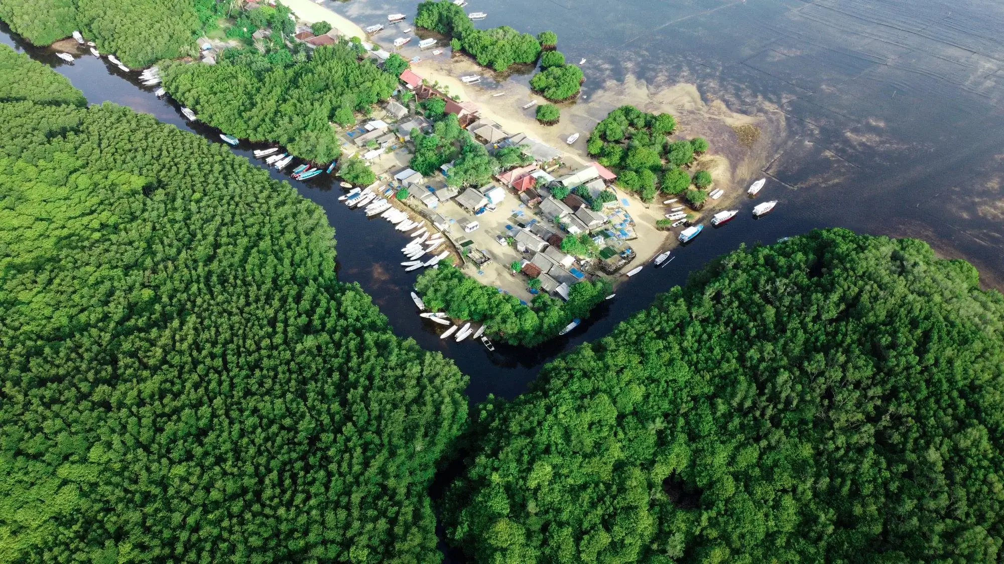 MANGROVE TOUR images