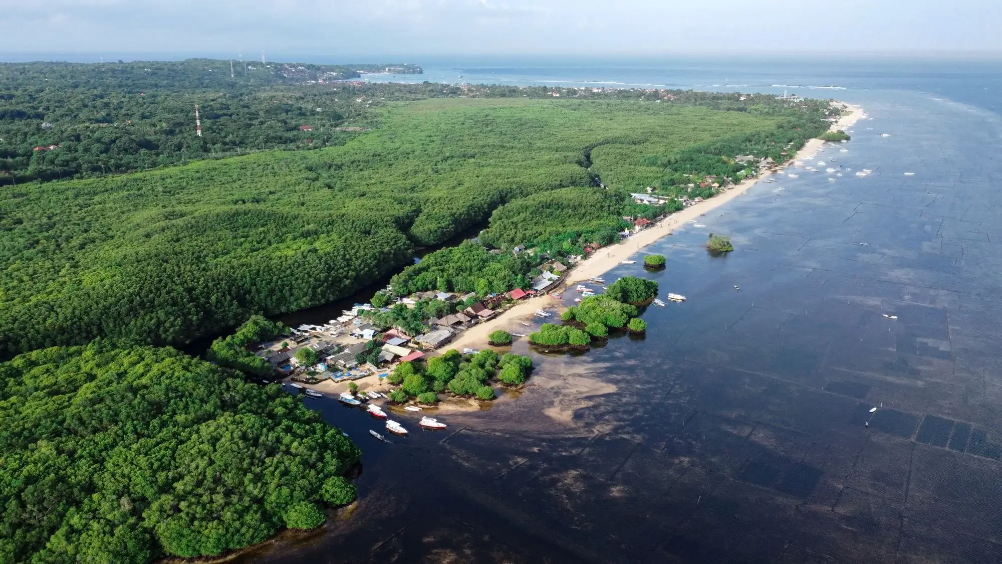 MANGROVE TOUR at Lembongan Beach Club & Resort