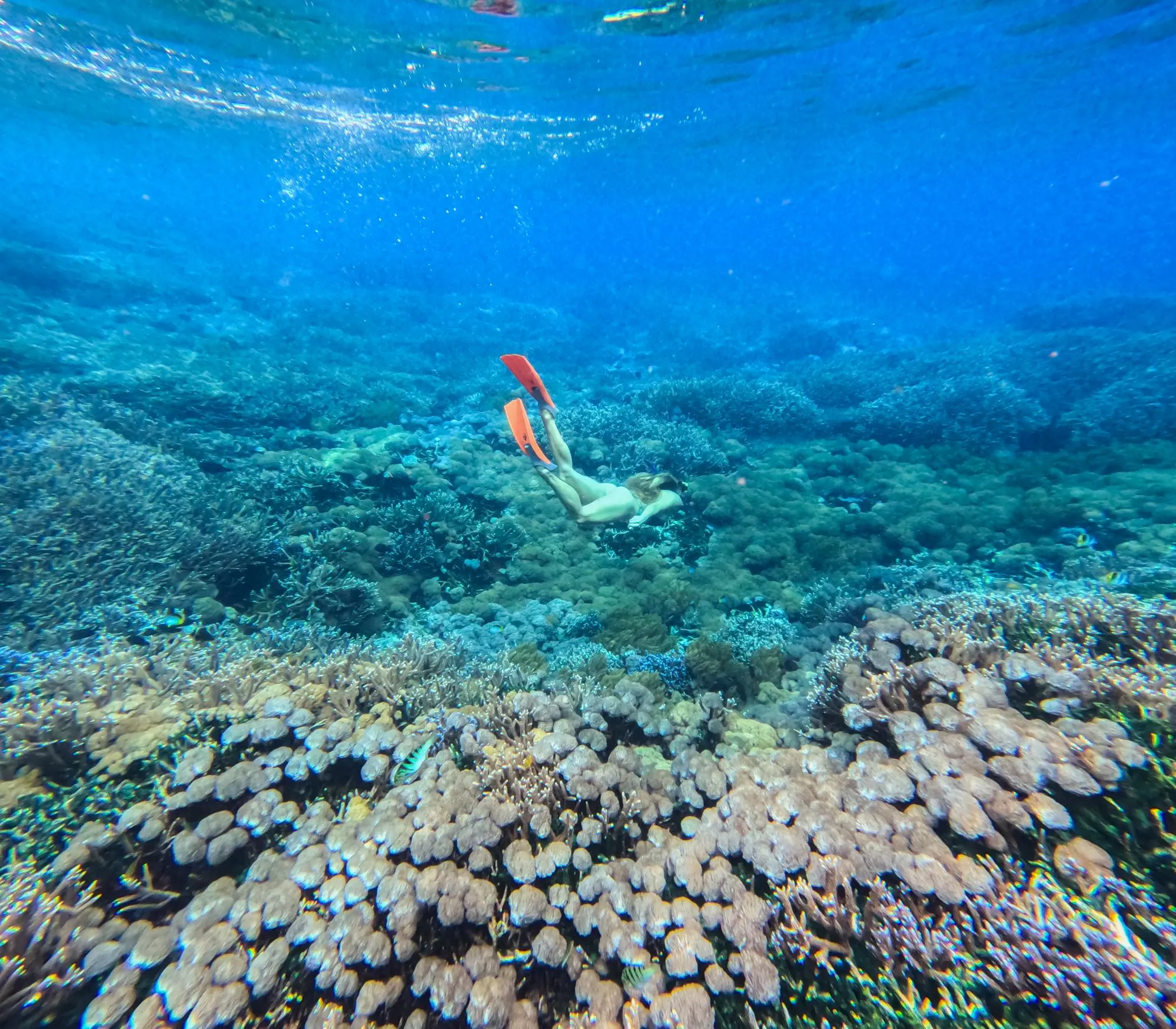 LEMBONGAN WATER ACTIVITIES at Lembongan Beach Club & Resort